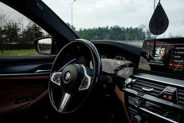 What Are the Best Calming Techniques for Dogs During Fireworks?