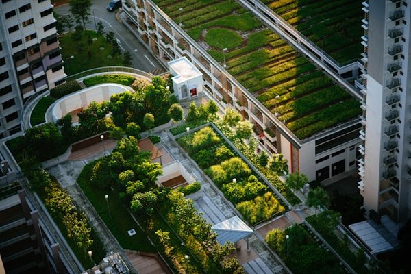 What Are the Financial and Environmental Benefits of Installing Green Roofs in Urban Developments?